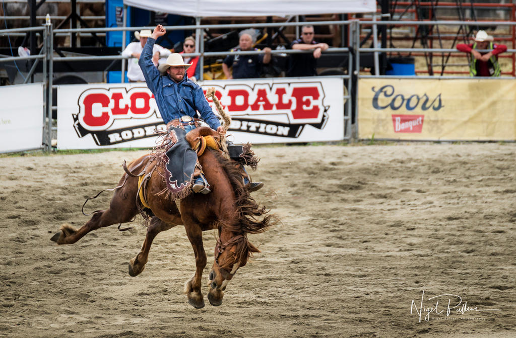 Rodeo 2 by nigel3 on DeviantArt