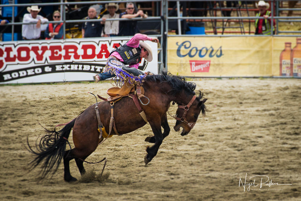 Rodeo 4 by nigel3 on DeviantArt