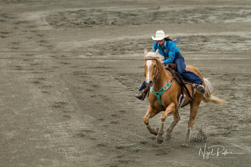 Rodeo Ride Deviantart Rodeo 5 by nigel3 on DeviantArt
