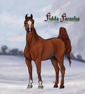 Fidda-Farasha*