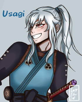 I finally drew usagi!