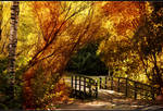 Bridge of transition by Patual