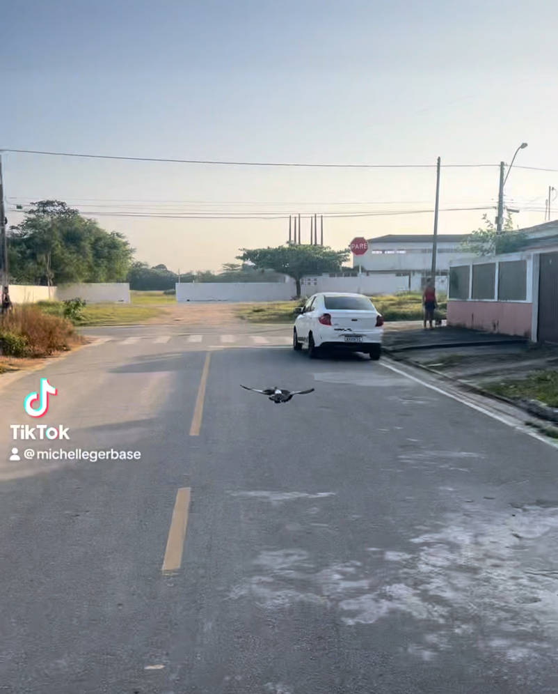 Now youre free again by Nefertiti1 on DeviantArt