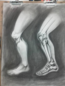 Figure Drawing - Legs