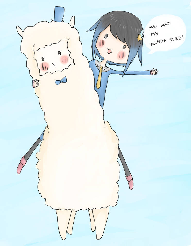 Alpaca Steed