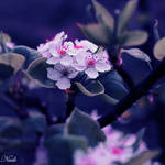 f0623 by nuke001