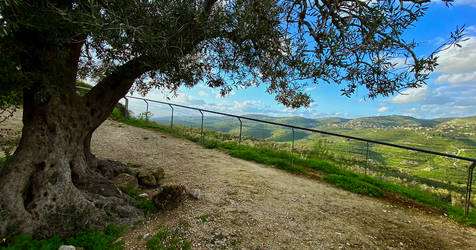 Countryside - Palestine