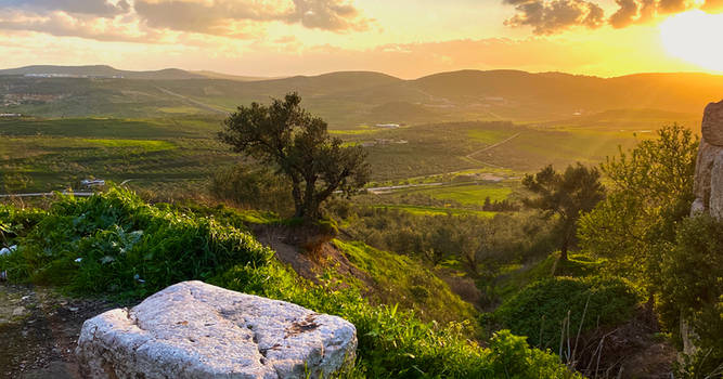 Countryside - Palestine