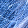 Hair