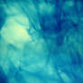 Wild Bleu: