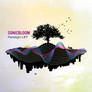Sonicbloom, album cover