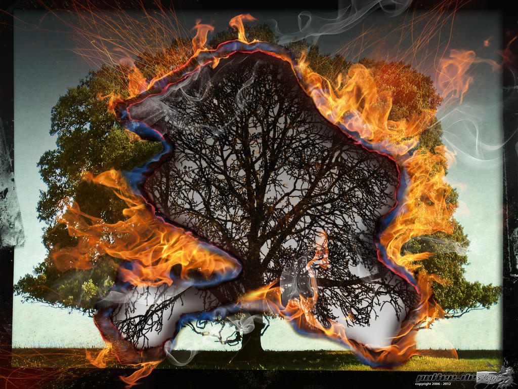 Burning Tree