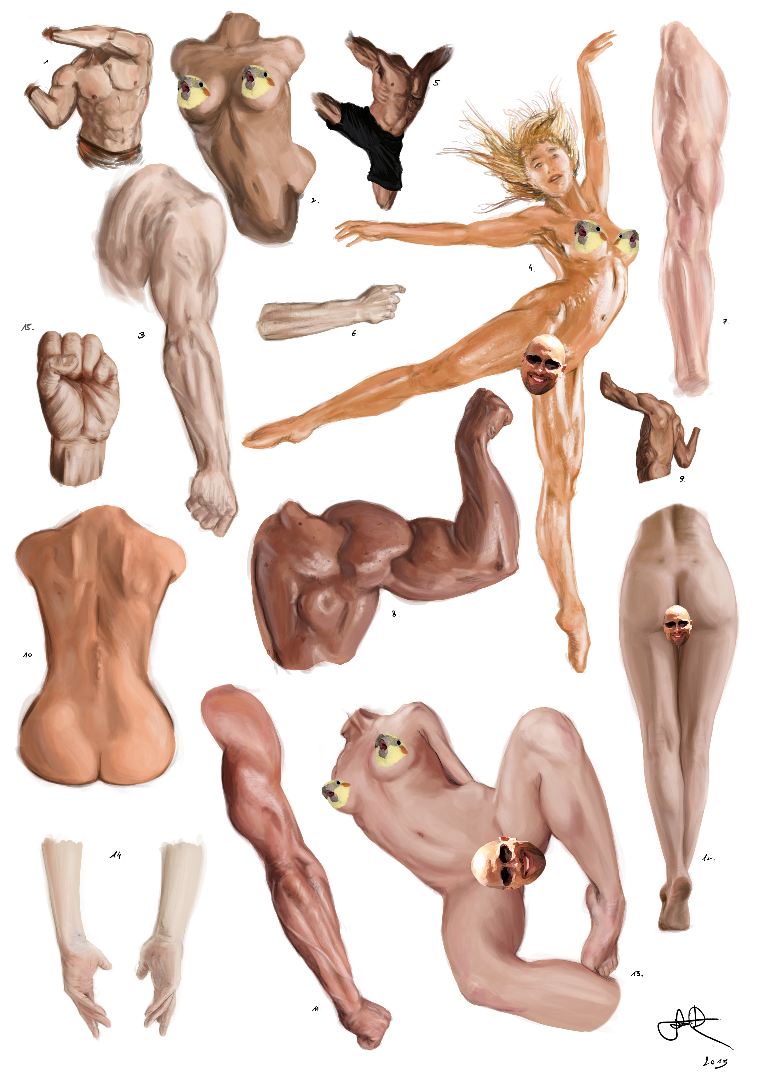 Human Anatomy Desnudo