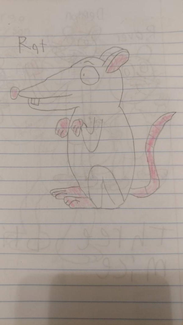 A random rat by SuperArtistParker on DeviantArt