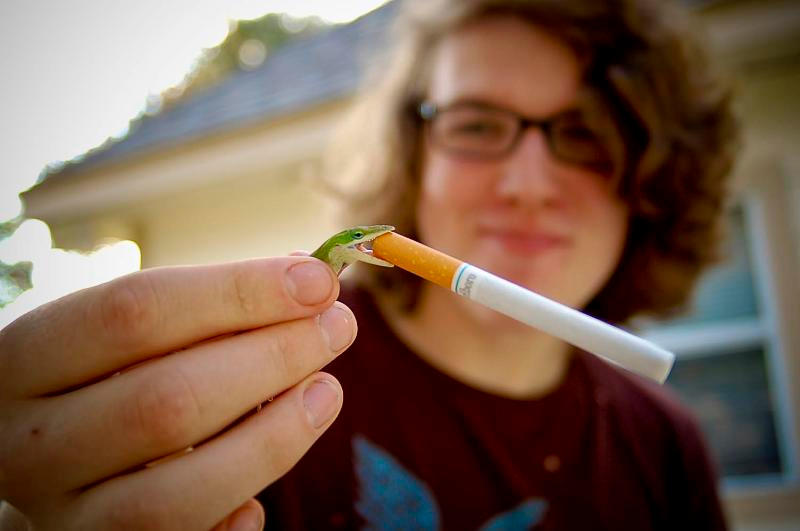 Smoking Lizard by CallMeCooper on DeviantArt