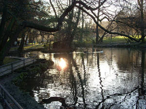 A part of the lake in Ferrera