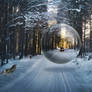 Balade hivernale