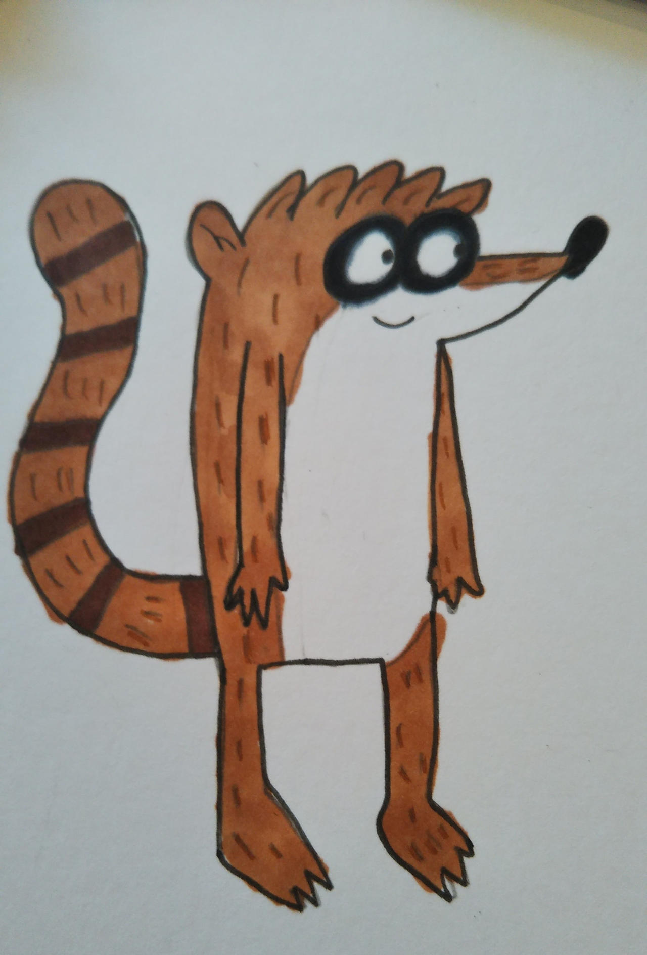 Rigby by coconuts777 on DeviantArt