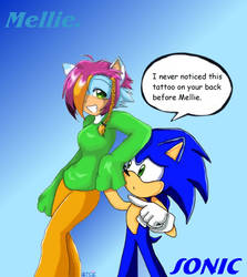 .::Mellie n Sonic::.