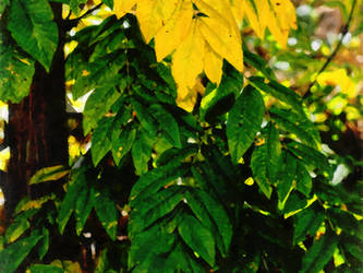 Green and yellow leaves