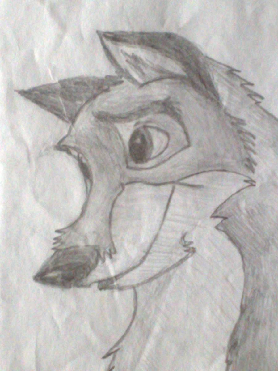 Balto