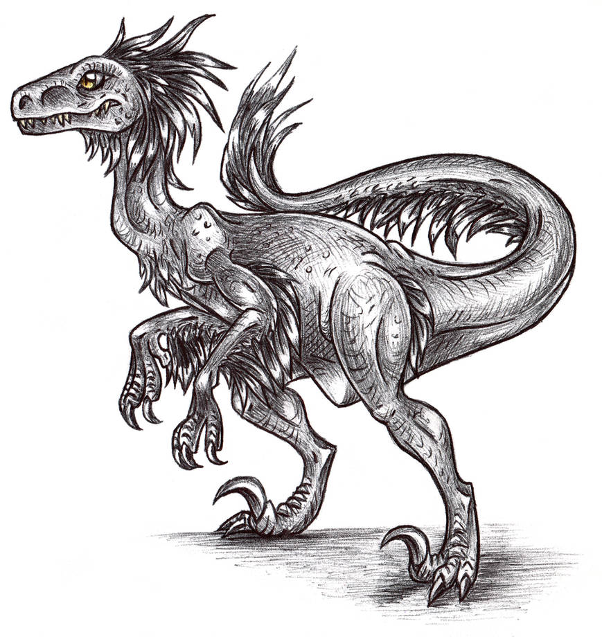 Raptor Doodle by QueenChinchilla187 on DeviantArt