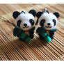 Pandas eating Bamboo