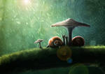 Snails In The Rain by saftkeks13