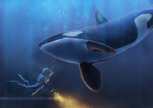 6 Inches by saftkeks13 6 Inches by saftkeks13