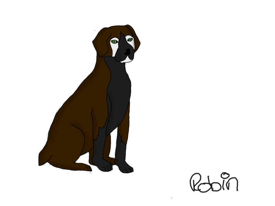 Deviantart Boxer Dog boxer dog by RobinsAngel35 on DeviantArt