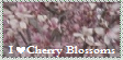 I Love Cherry Blossoms stamp