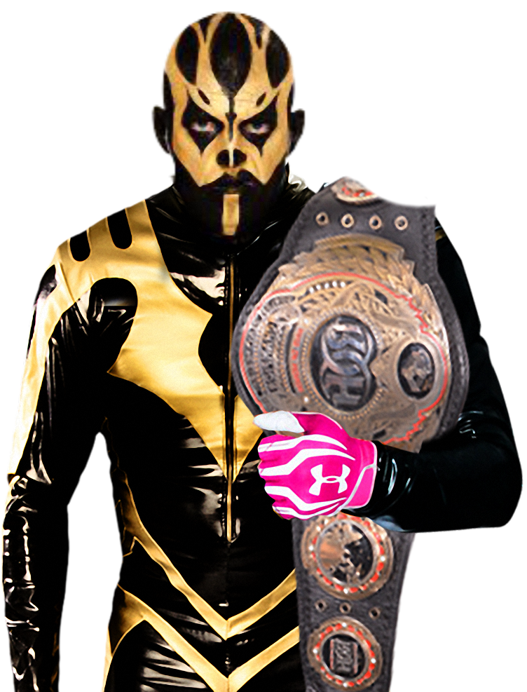 Goldust Body Goldust Render 1 by BLACKrangers123 on DeviantArt