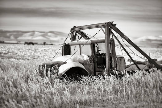 Dodge Military Truck c. 1950, Drummond, Montana