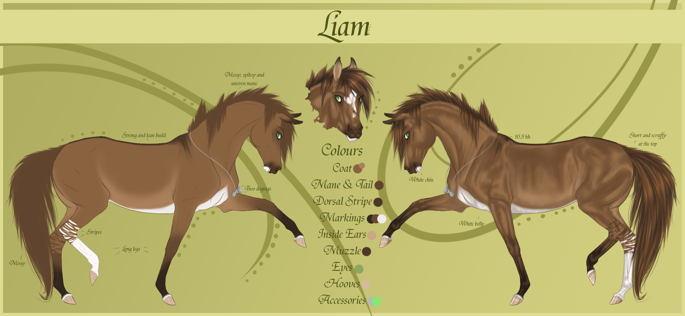 Liam Reference Sheet - Updated