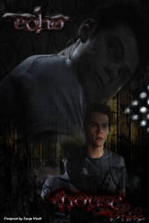 Stiles echo house