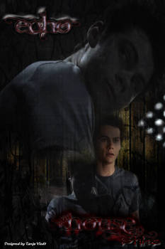 Stiles echo house