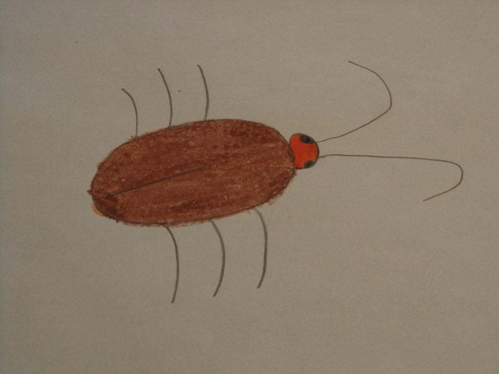 Cockroach by 110842 on DeviantArt
