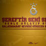 Galatasaray Sevgisi