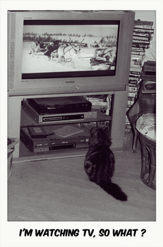 Eole watching TV.