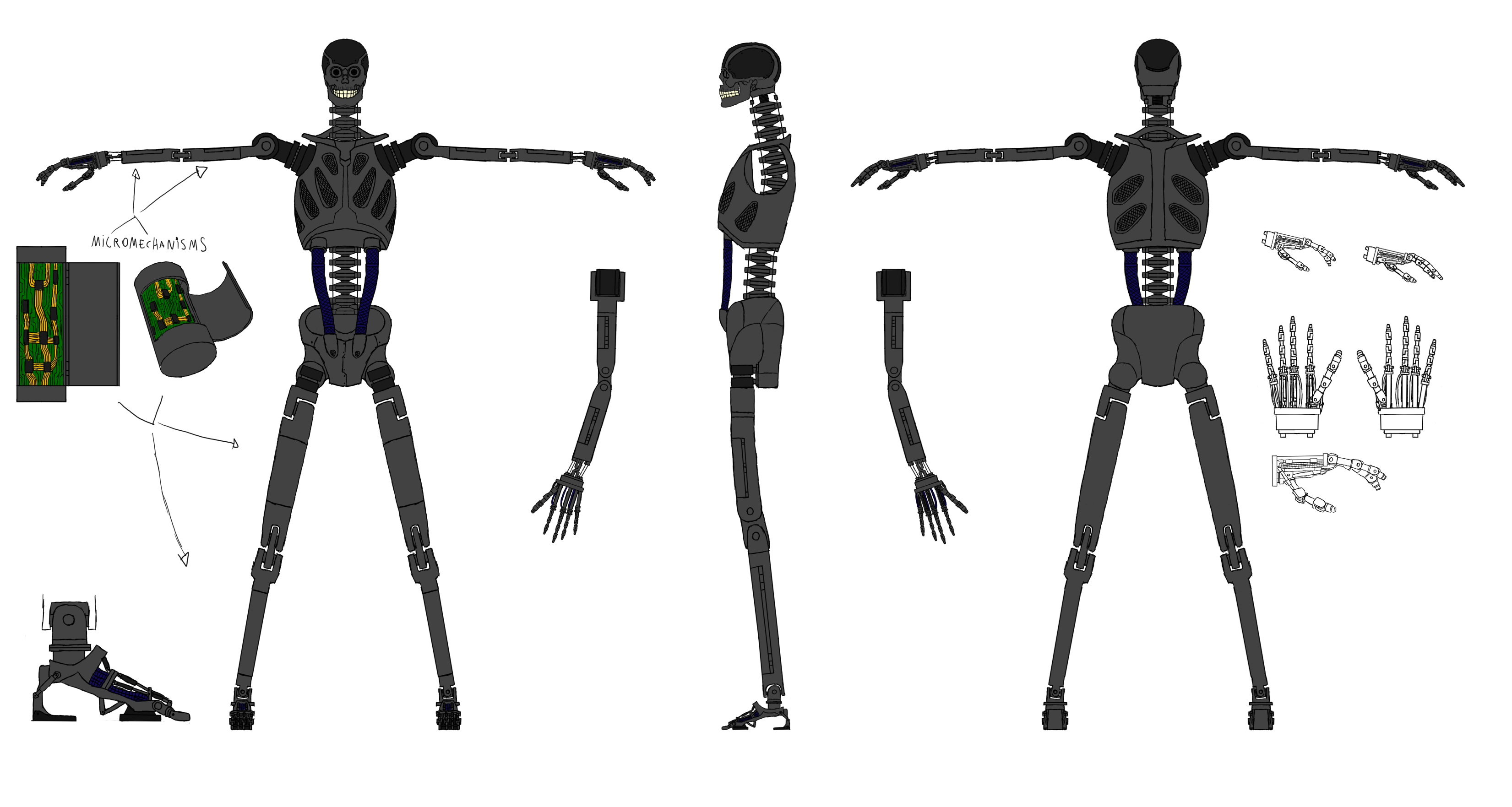 New Endoskeleton Design 1 by KingOfCopper16 on DeviantArt