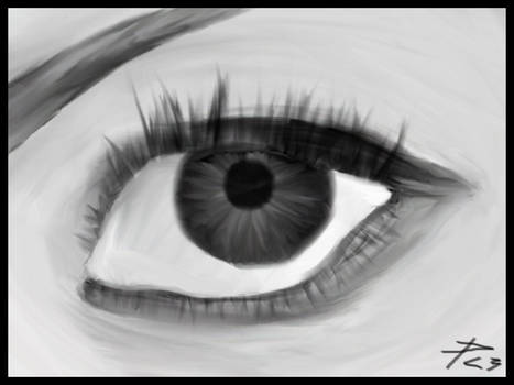Eye 13