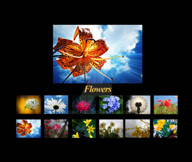 Flowers  calendar