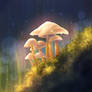 Mushrooms 2