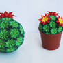 Venus kusudama cactus with red flowers