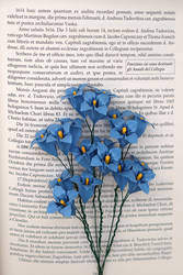 Origami forget-me-not flowers