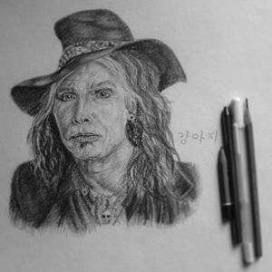 Steven Tyler 2