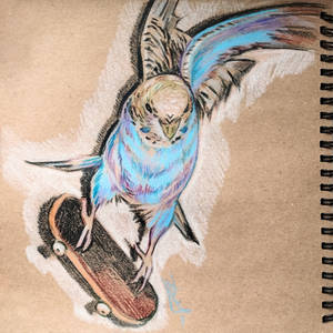 Sketch (march 2026)