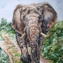 Elephant in the room
