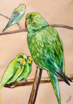 Green rumpus