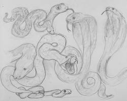 Snake sketch dump